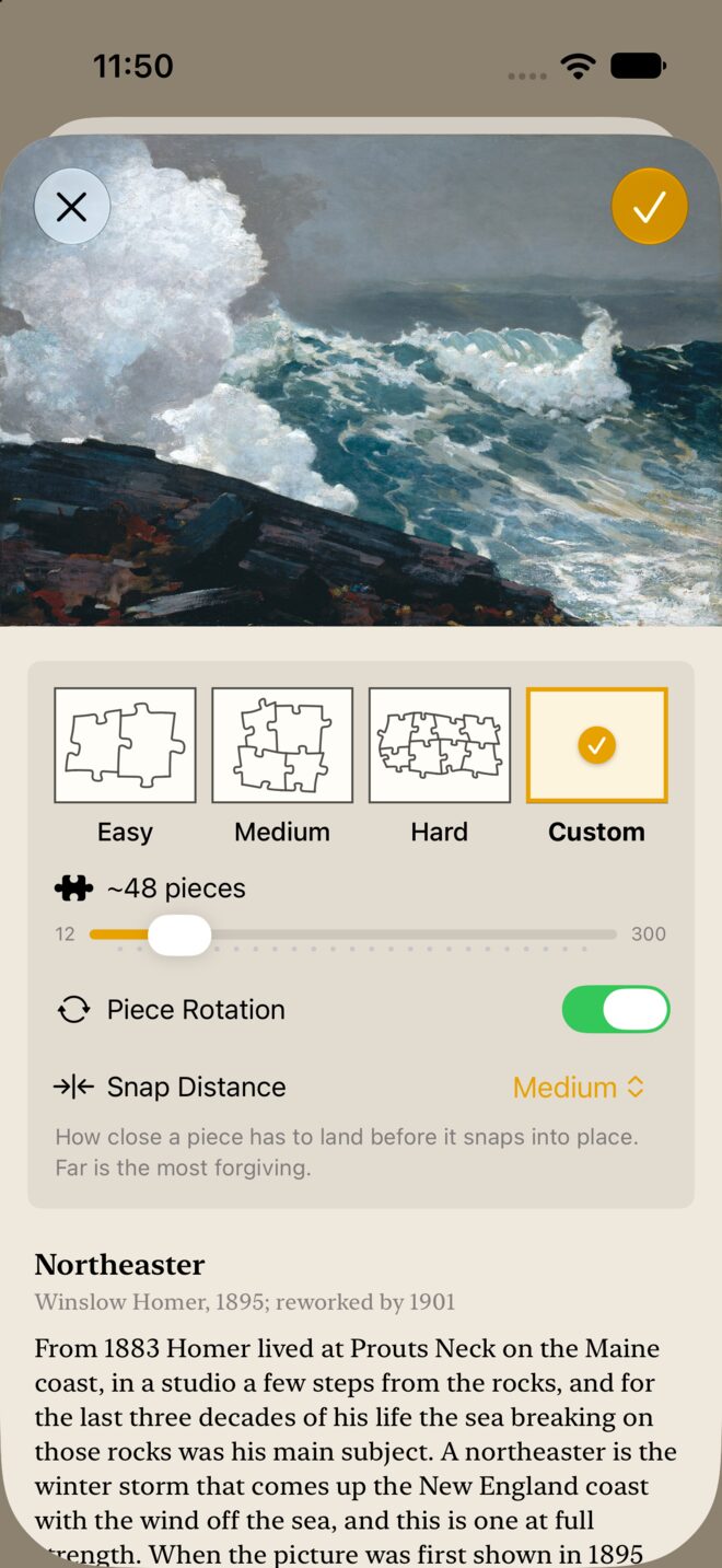 The same sheet on Custom: a piece-count slider running to 300, a rotation switch and a snap-distance menu.